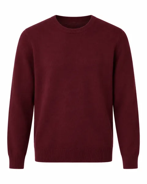 Garment